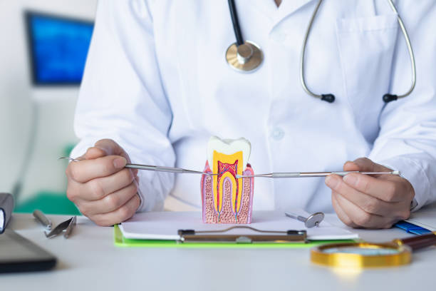 Best Walk-In Emergency Dentist in Crestwood, MO